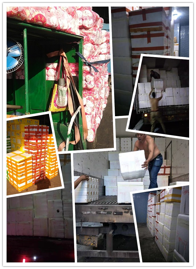 腾博会官网 - 诚信为本,专业服务!