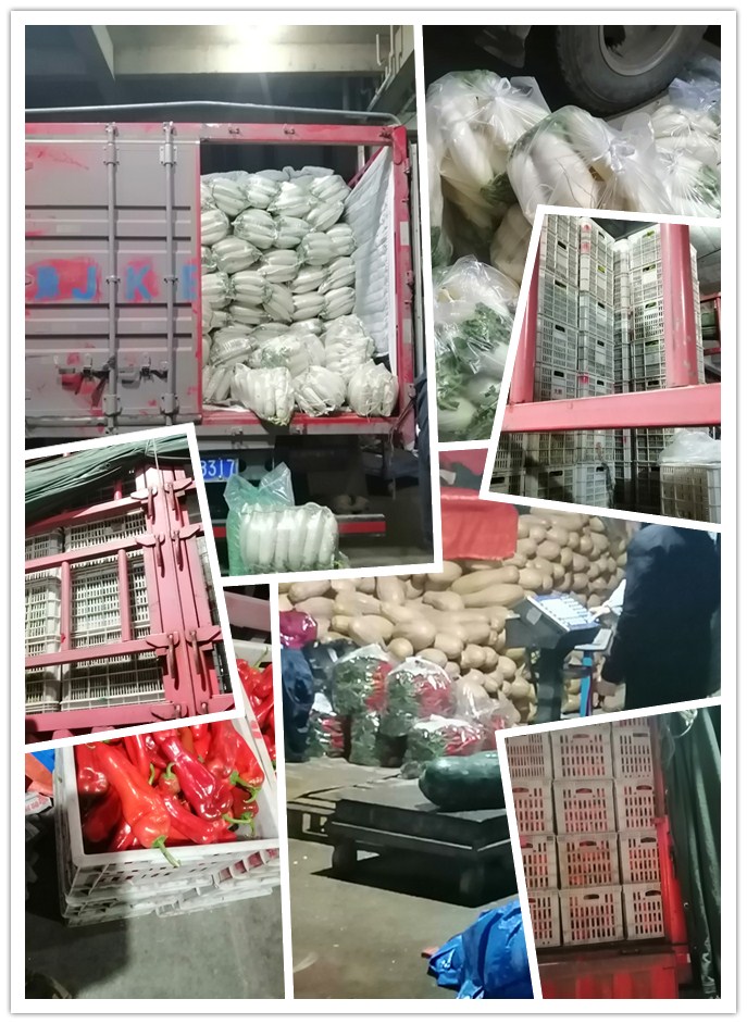 腾博会官网 - 诚信为本,专业服务!