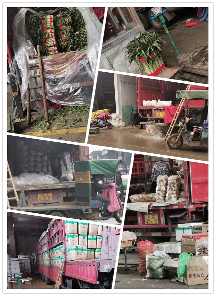 腾博会官网 - 诚信为本,专业服务!