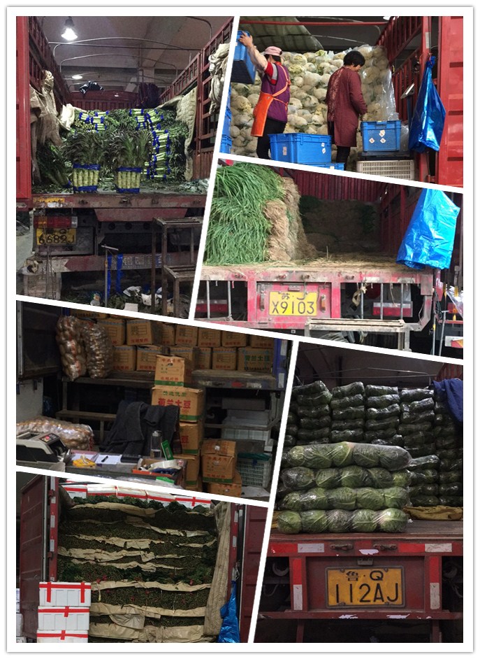 腾博会官网 - 诚信为本,专业服务!