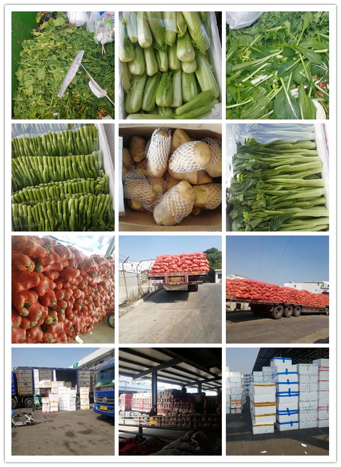 腾博会官网 - 诚信为本,专业服务!