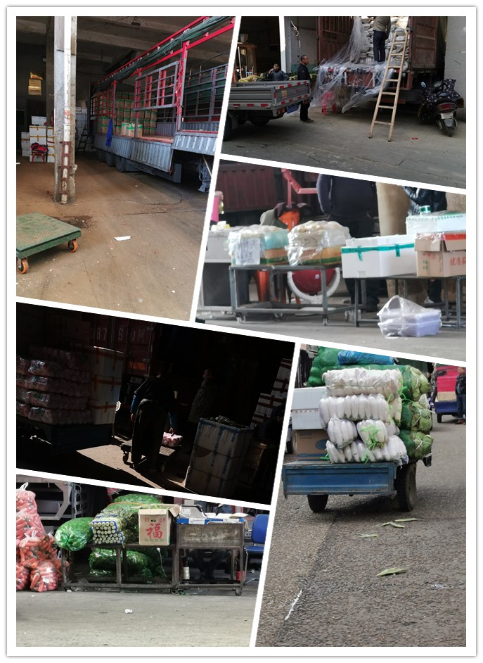 腾博会官网 - 诚信为本,专业服务!