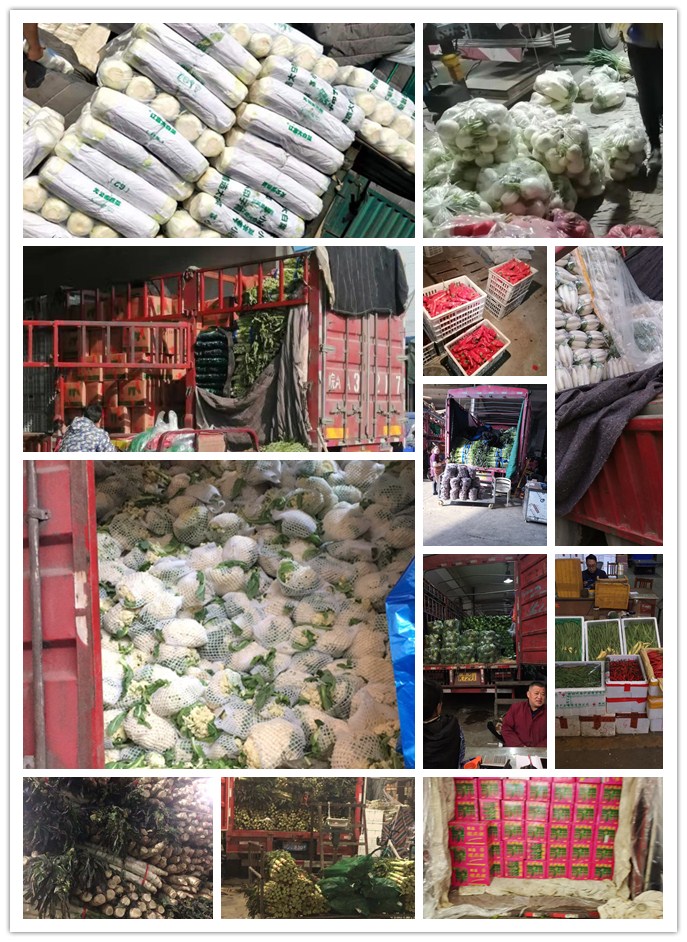 腾博会官网 - 诚信为本,专业服务!