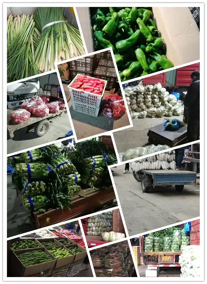 腾博会官网 - 诚信为本,专业服务!