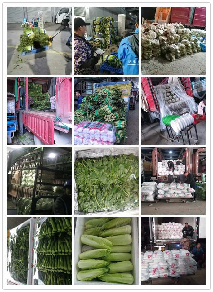 腾博会官网 - 诚信为本,专业服务!