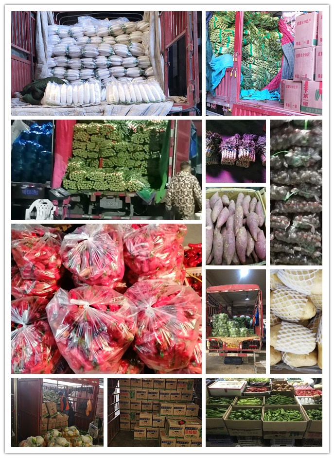 腾博会官网 - 诚信为本,专业服务!