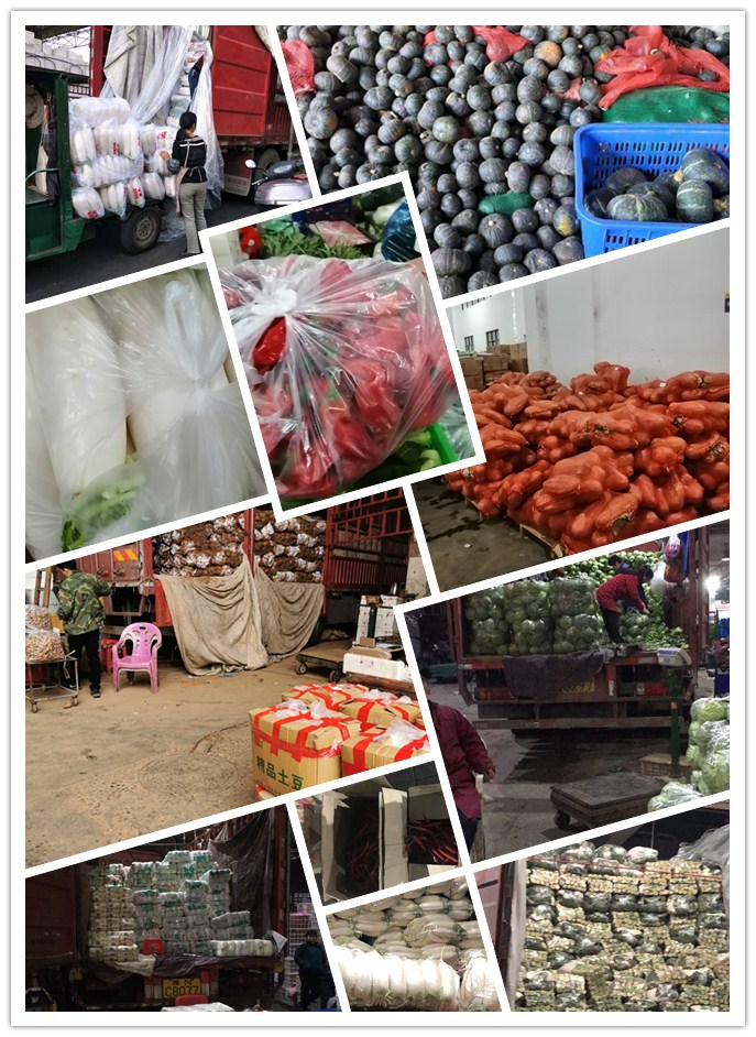 腾博会官网 - 诚信为本,专业服务!