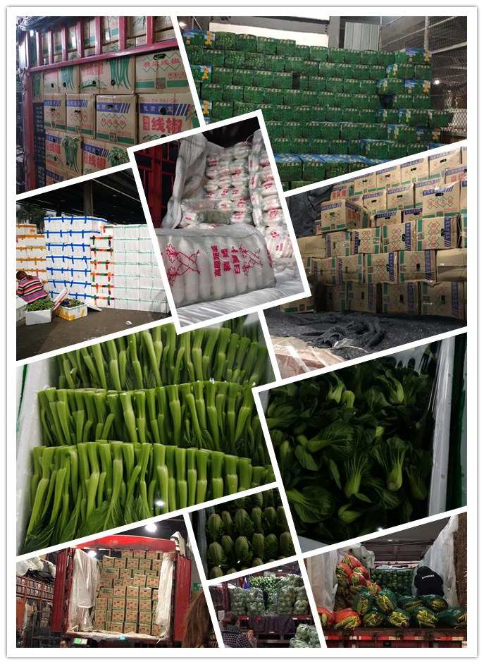 腾博会官网 - 诚信为本,专业服务!