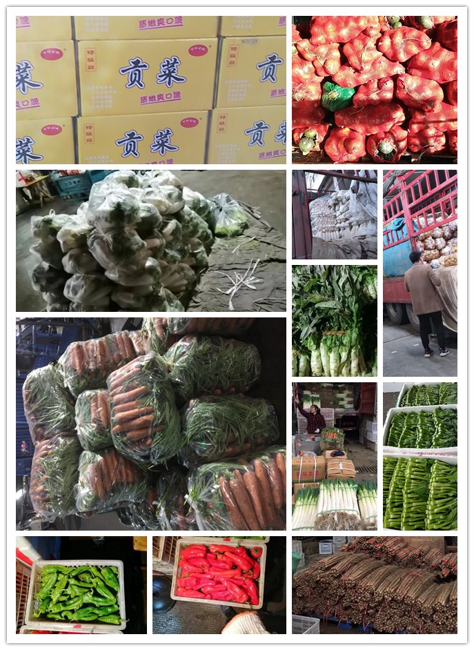 腾博会官网 - 诚信为本,专业服务!