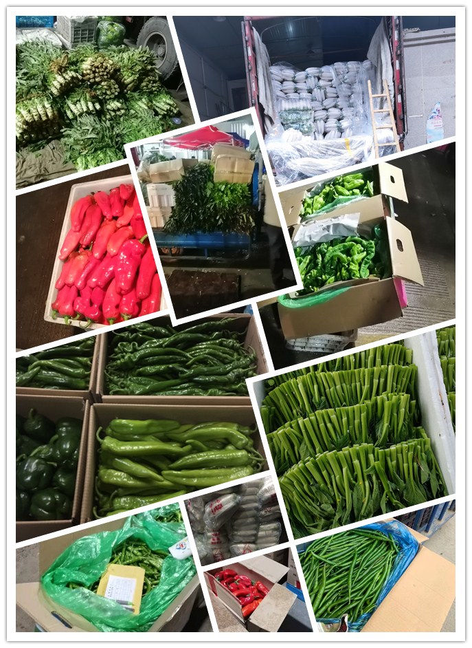 腾博会官网 - 诚信为本,专业服务!