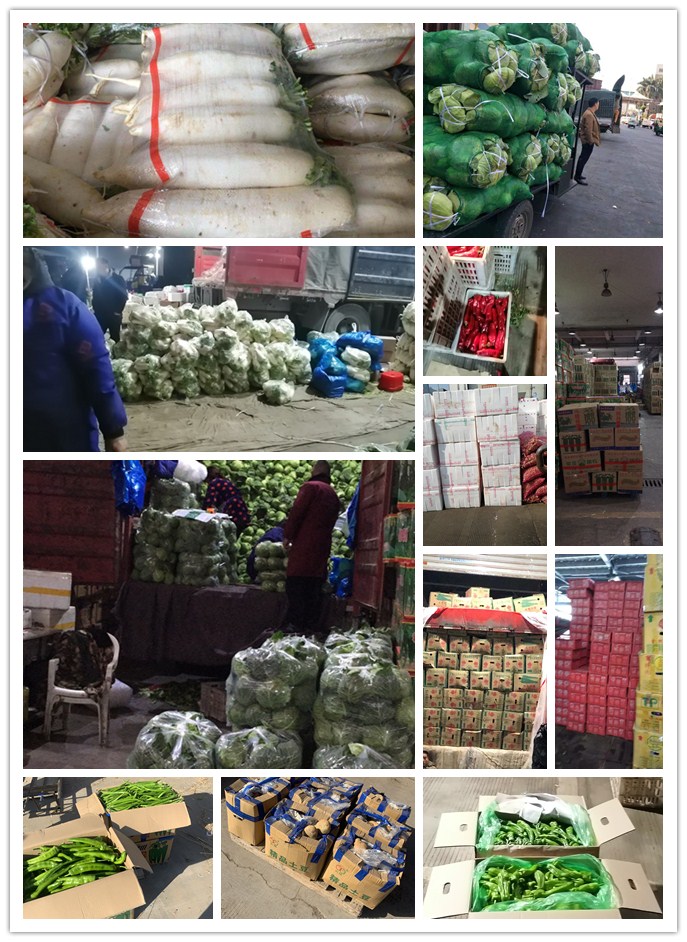 腾博会官网 - 诚信为本,专业服务!