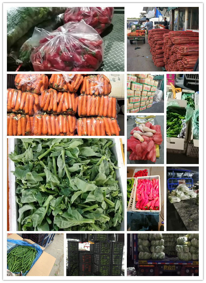 腾博会官网 - 诚信为本,专业服务!