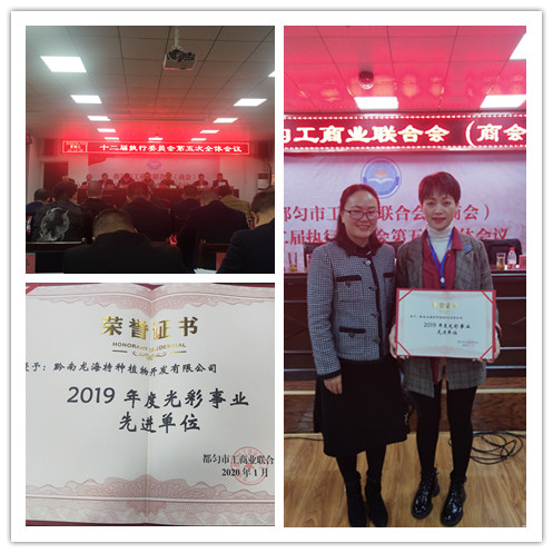 腾博会官网 - 诚信为本,专业服务!