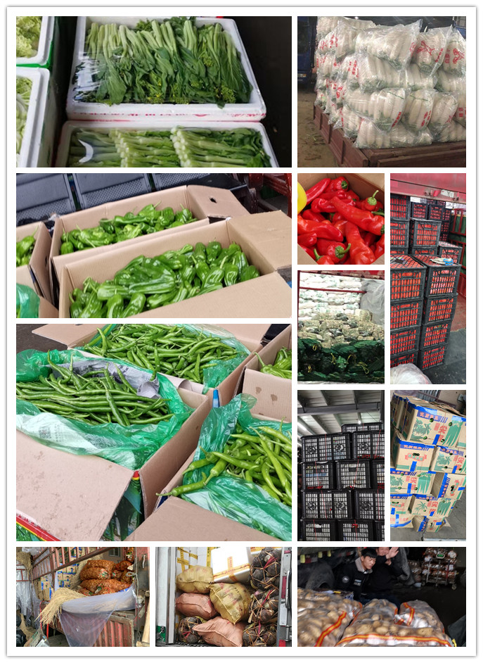 腾博会官网 - 诚信为本,专业服务!