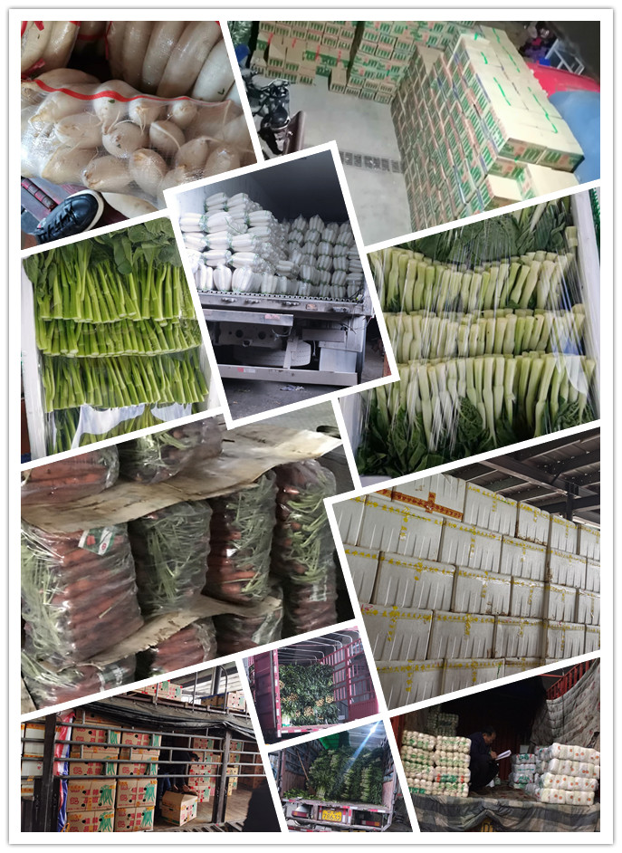 腾博会官网 - 诚信为本,专业服务!