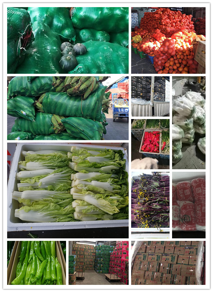 腾博会官网 - 诚信为本,专业服务!