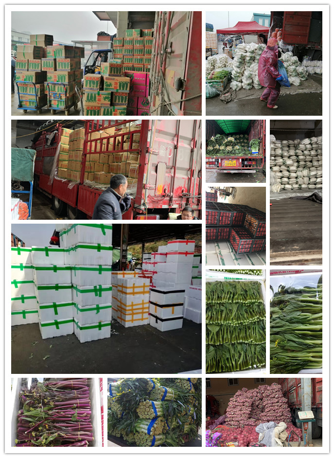 腾博会官网 - 诚信为本,专业服务!