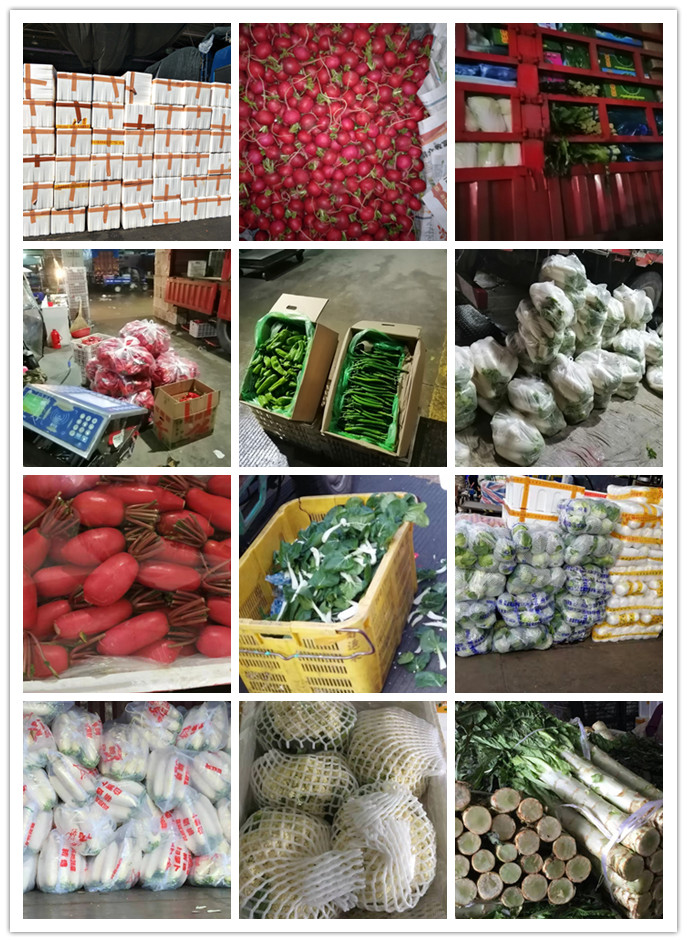 腾博会官网 - 诚信为本,专业服务!