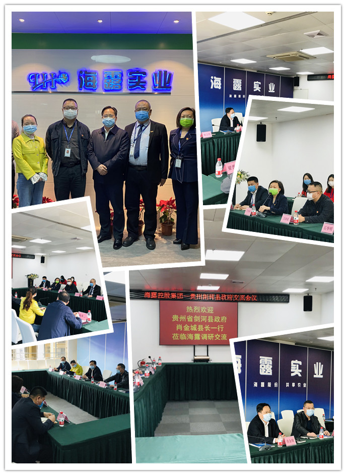 腾博会官网 - 诚信为本,专业服务!