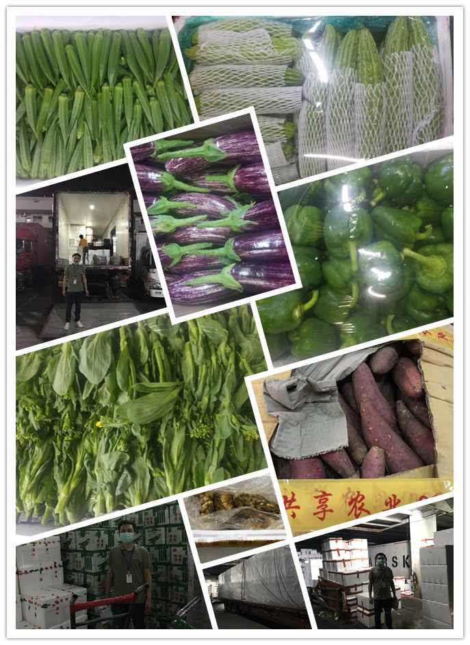 腾博会官网 - 诚信为本,专业服务!