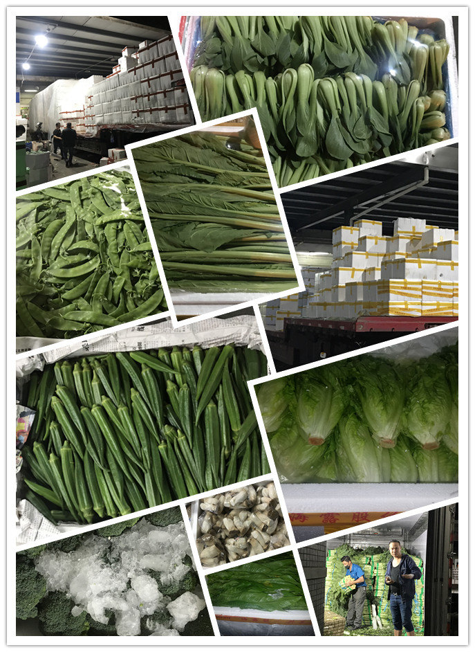 腾博会官网 - 诚信为本,专业服务!