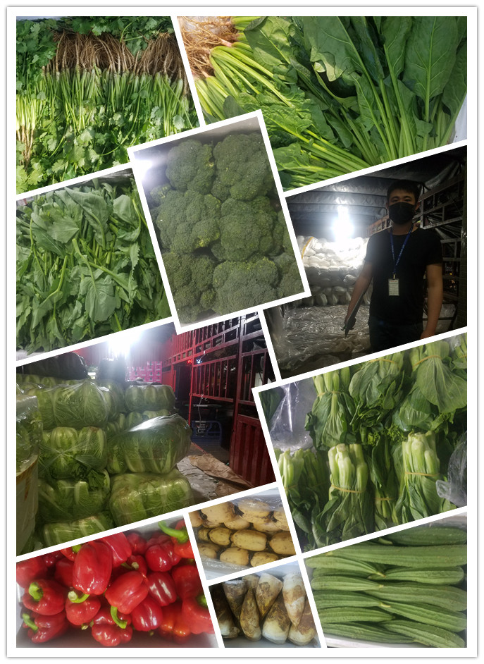 腾博会官网 - 诚信为本,专业服务!