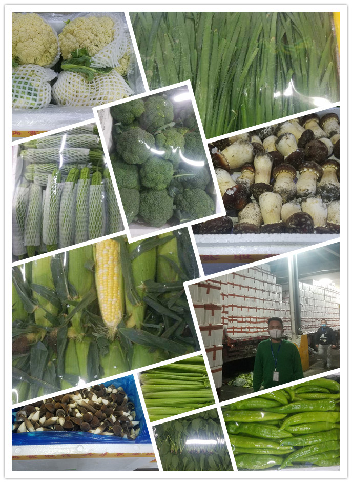 腾博会官网 - 诚信为本,专业服务!