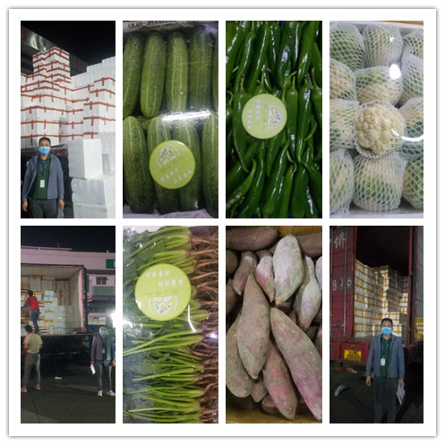 腾博会官网 - 诚信为本,专业服务!