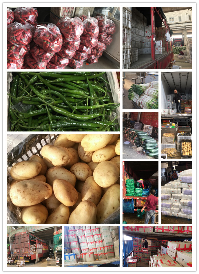 腾博会官网 - 诚信为本,专业服务!