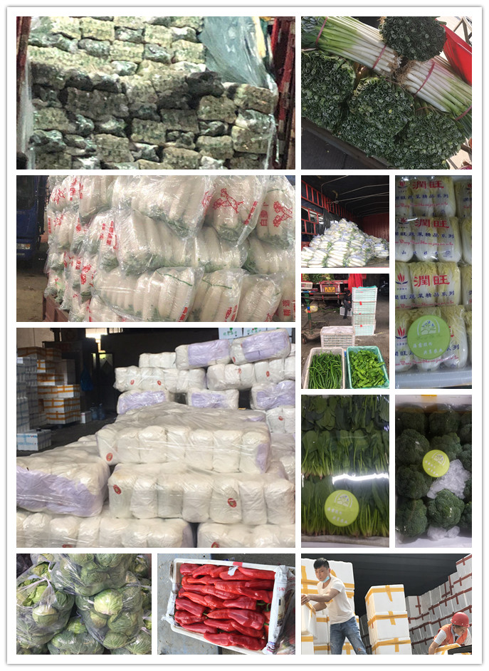 腾博会官网 - 诚信为本,专业服务!