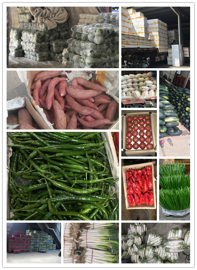 腾博会官网 - 诚信为本,专业服务!