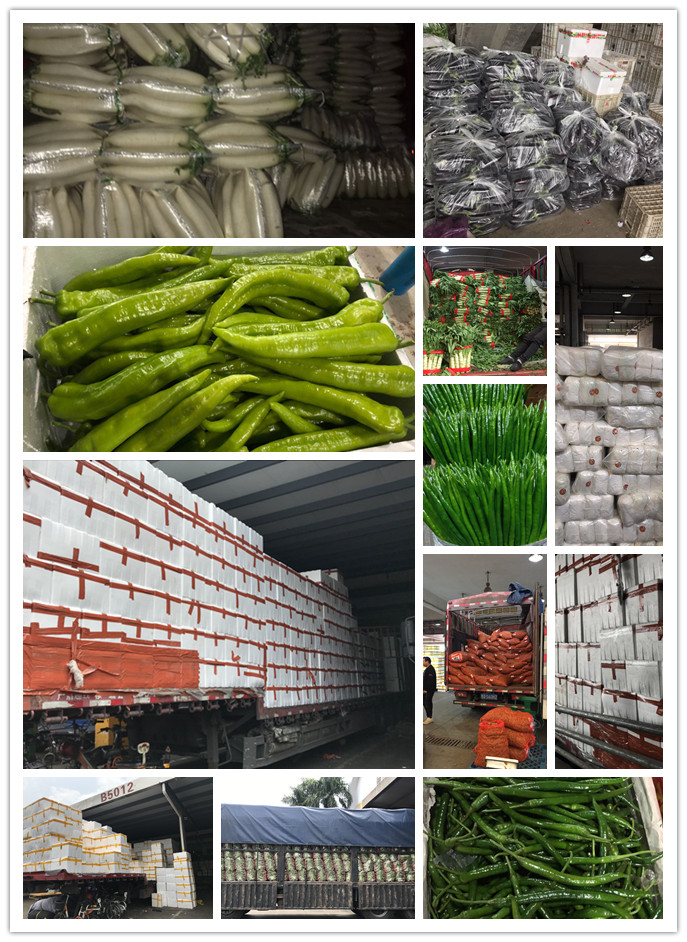 腾博会官网 - 诚信为本,专业服务!