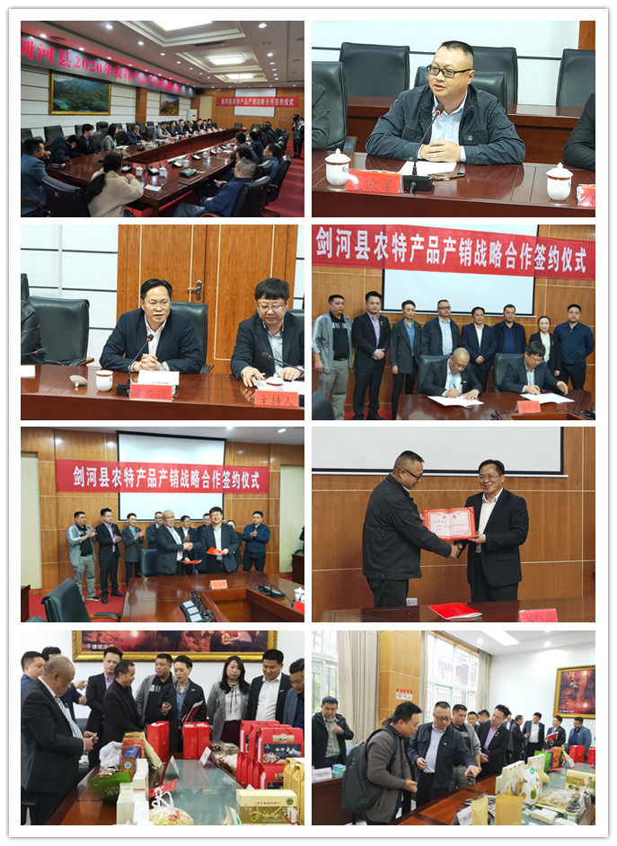 腾博会官网 - 诚信为本,专业服务!