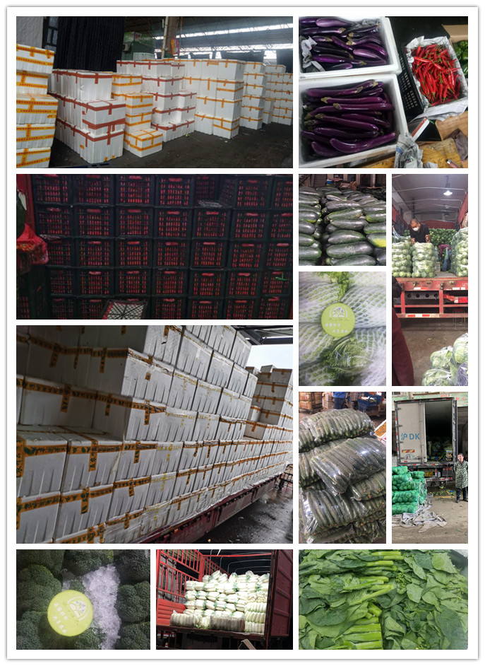 腾博会官网 - 诚信为本,专业服务!