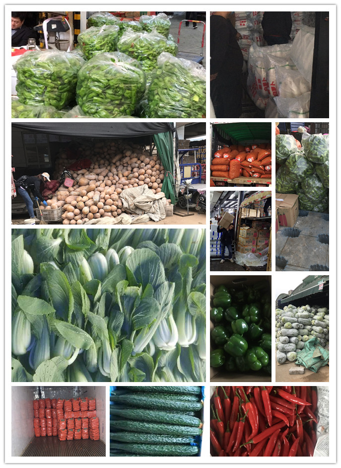 腾博会官网 - 诚信为本,专业服务!