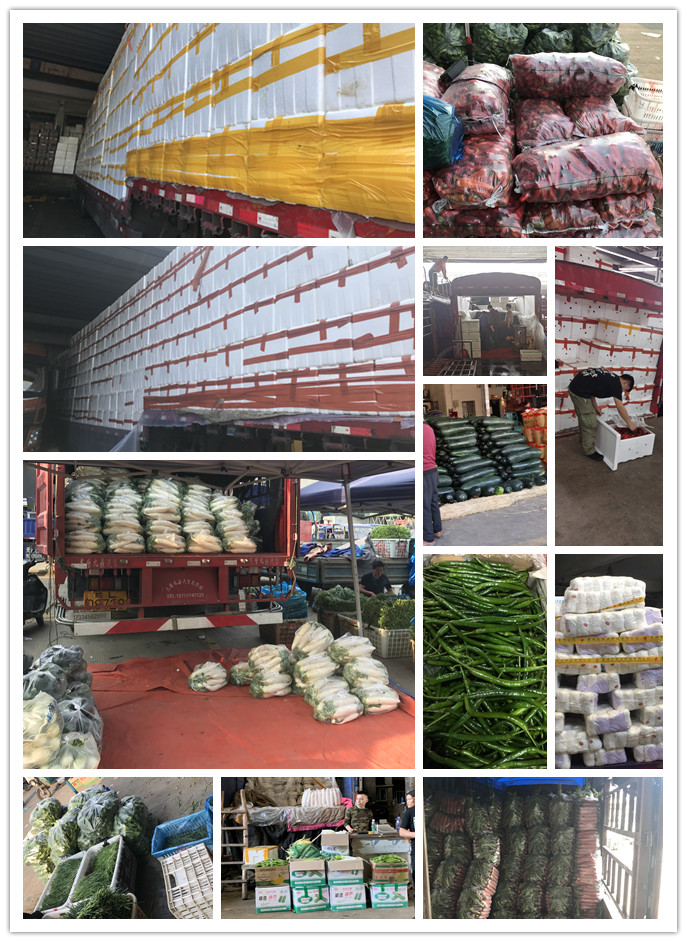 腾博会官网 - 诚信为本,专业服务!