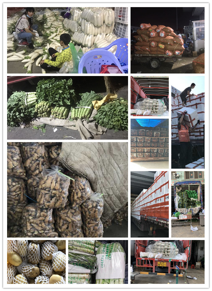 腾博会官网 - 诚信为本,专业服务!