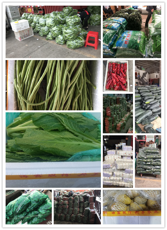 腾博会官网 - 诚信为本,专业服务!