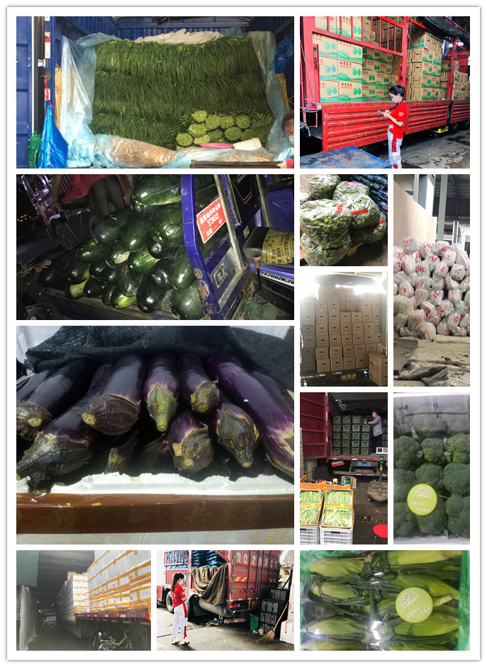 腾博会官网 - 诚信为本,专业服务!