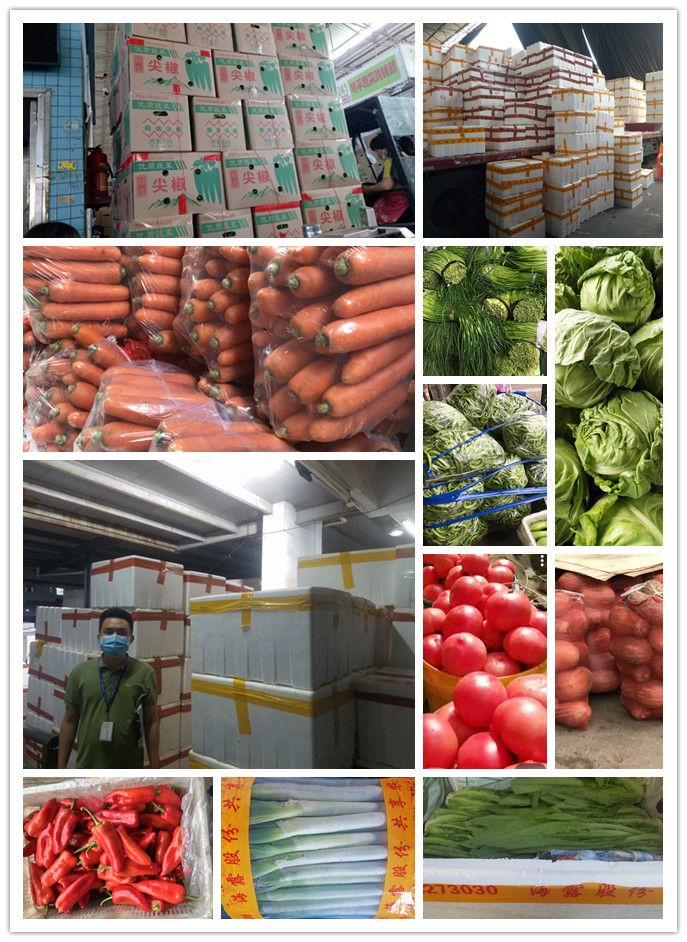 腾博会官网 - 诚信为本,专业服务!