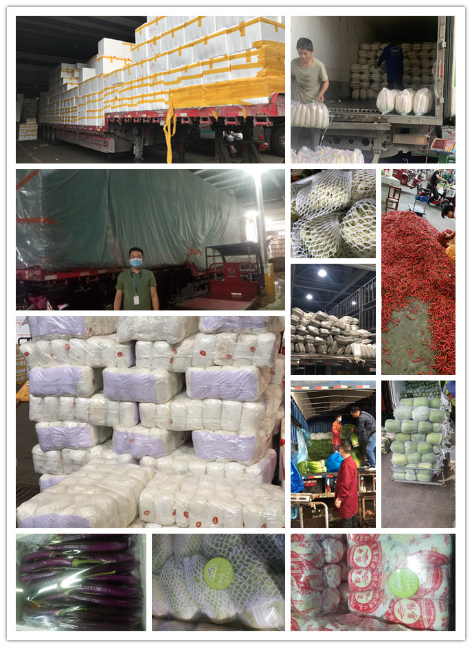 腾博会官网 - 诚信为本,专业服务!