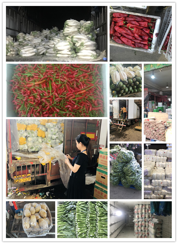 腾博会官网 - 诚信为本,专业服务!