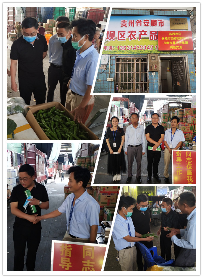 腾博会官网 - 诚信为本,专业服务!