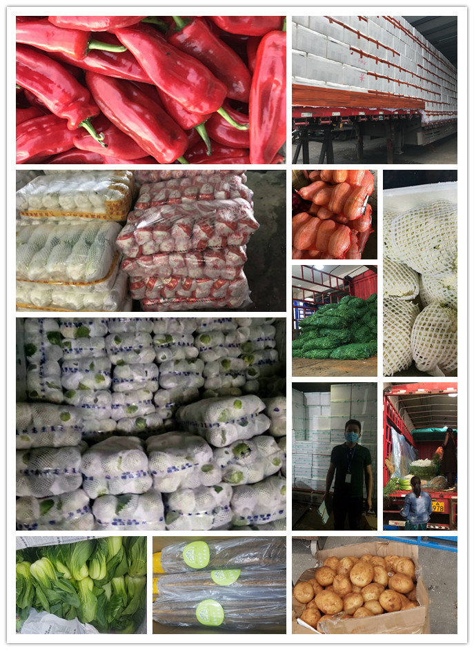 腾博会官网 - 诚信为本,专业服务!