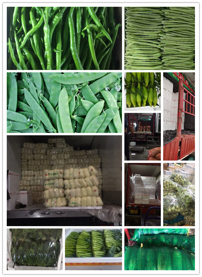 腾博会官网 - 诚信为本,专业服务!