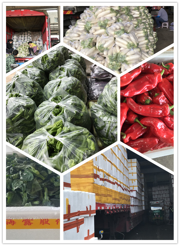 腾博会官网 - 诚信为本,专业服务!