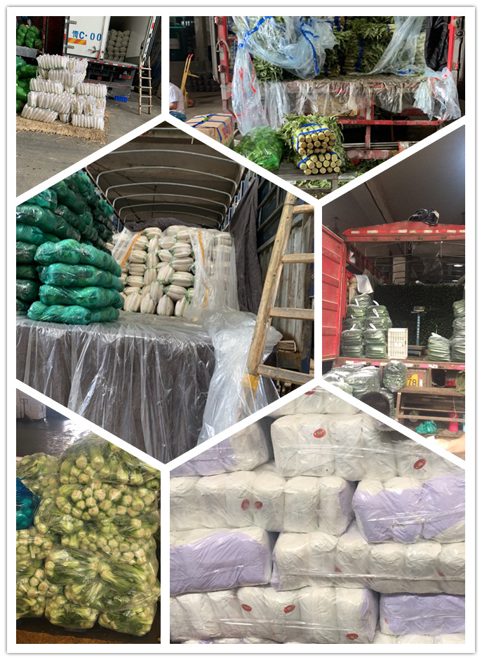 腾博会官网 - 诚信为本,专业服务!