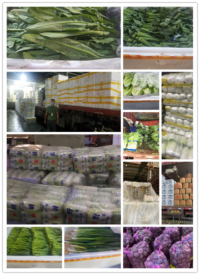 腾博会官网 - 诚信为本,专业服务!