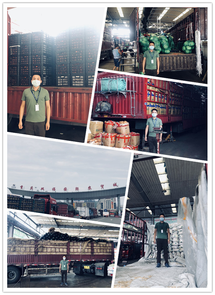 腾博会官网 - 诚信为本,专业服务!