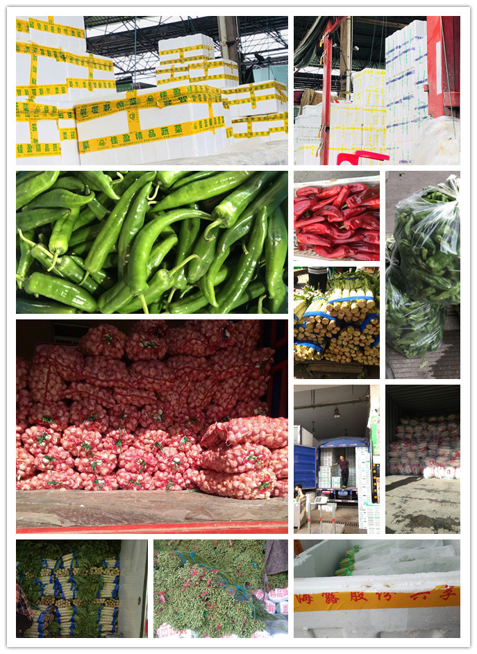 腾博会官网 - 诚信为本,专业服务!